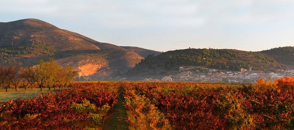 Bodegas Xaló, pasión por la viña 1 bodegas xalo pasion por la vina