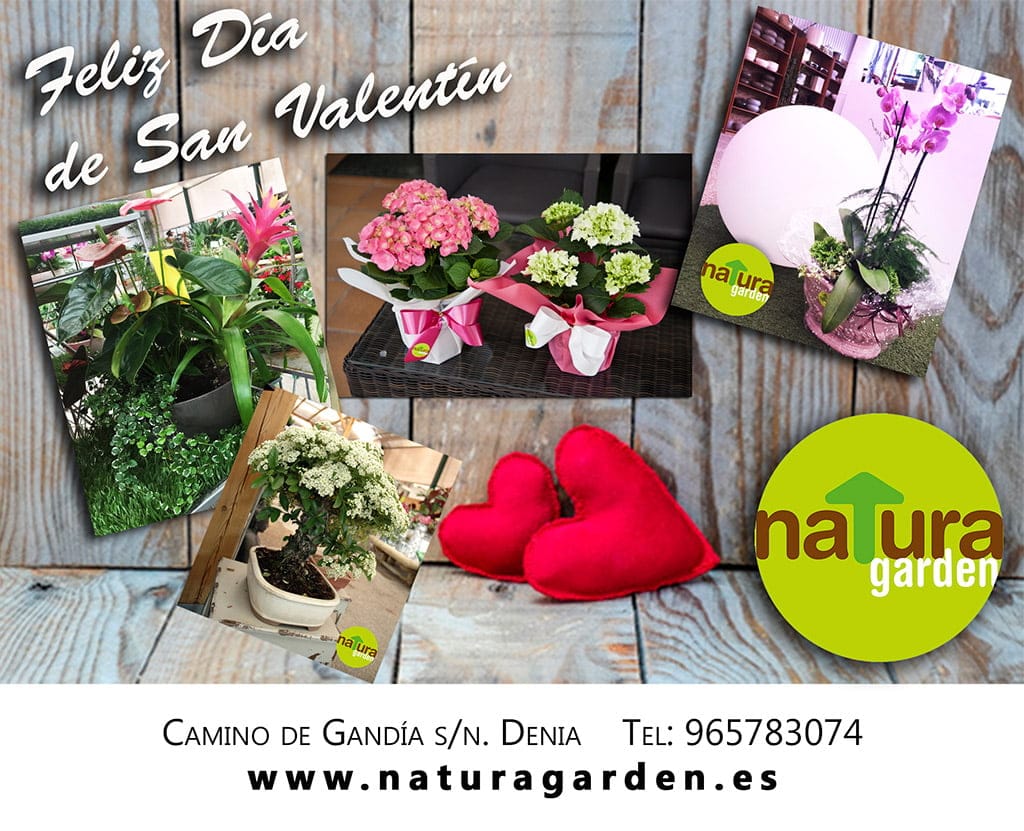 detalles san valentin natura garden