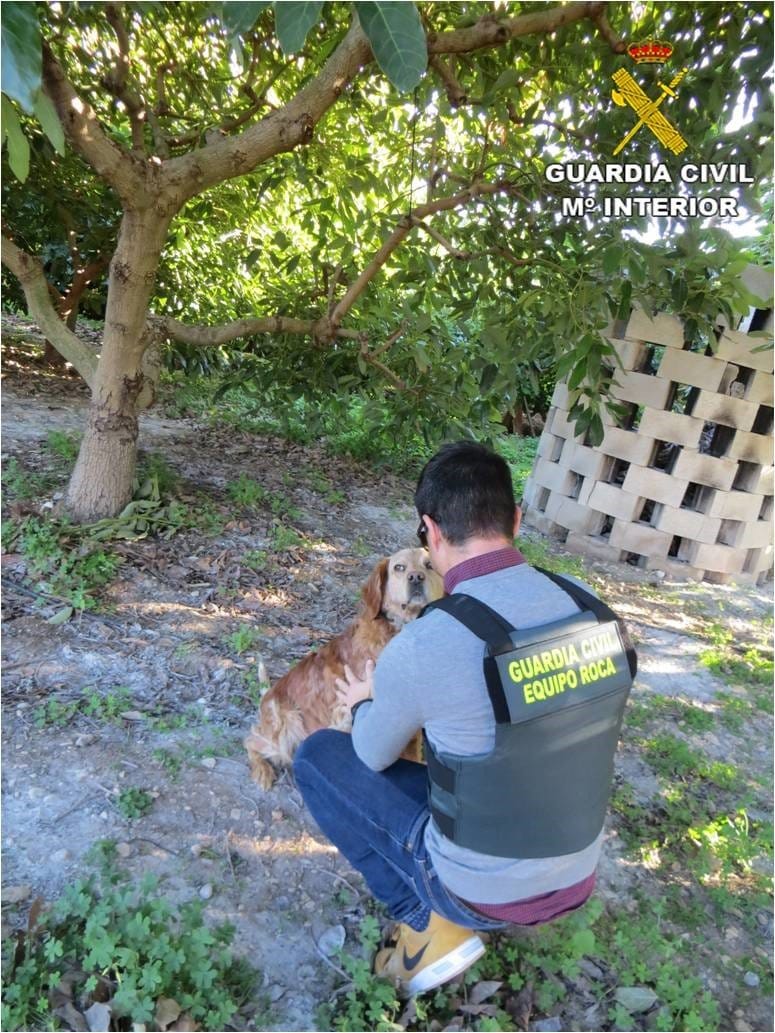 guardia civil con el perro herido
