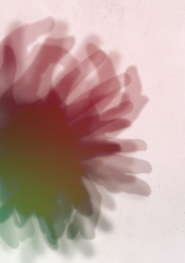 la figuera en el verger