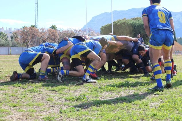 mele introducida por el cr albacete