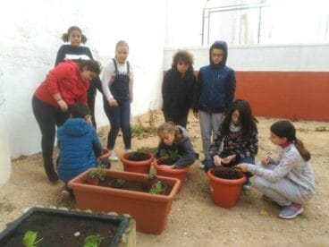 agricultura sostenible en los coles de denia