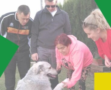 animales dis capaces