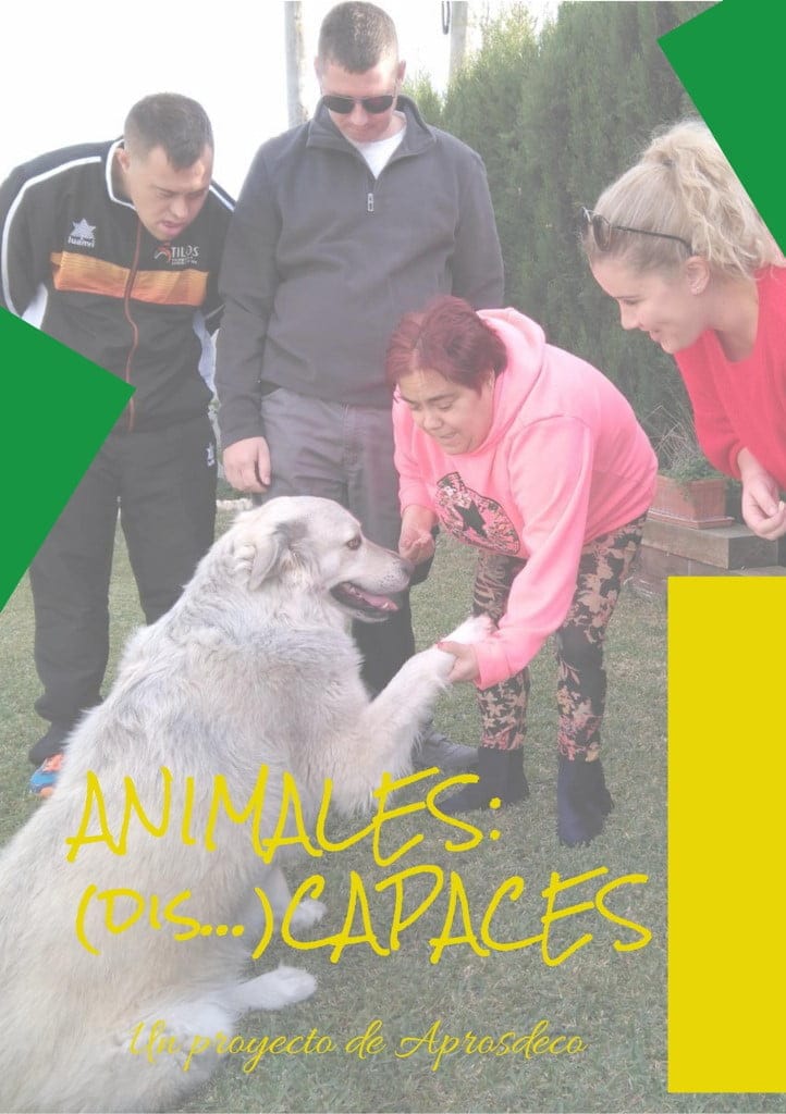 animales dis capaces aprosdeco