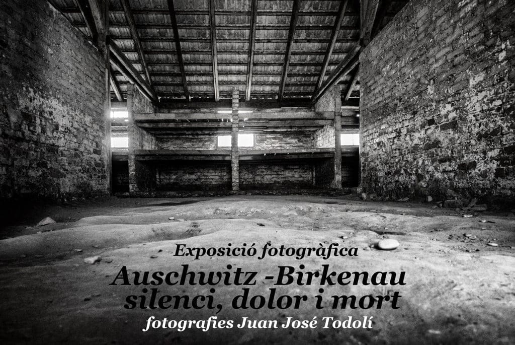 auschwitz birkenau silenci dolor i mort