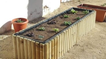 Huertos escolares en los colegios de Dénia