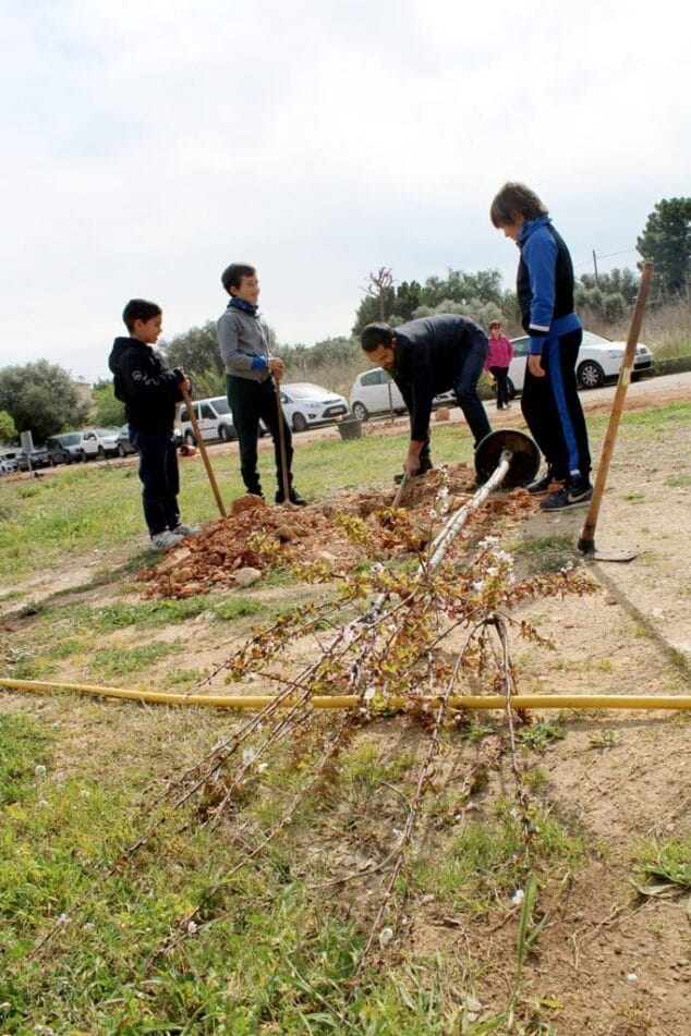 participantes en la plantacion popular