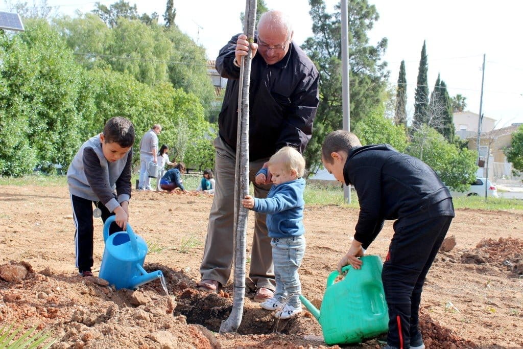 plantacion de arboles en al khalif