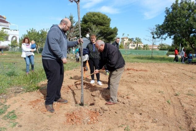 plantacion de arboles en la zona verde de al khalif