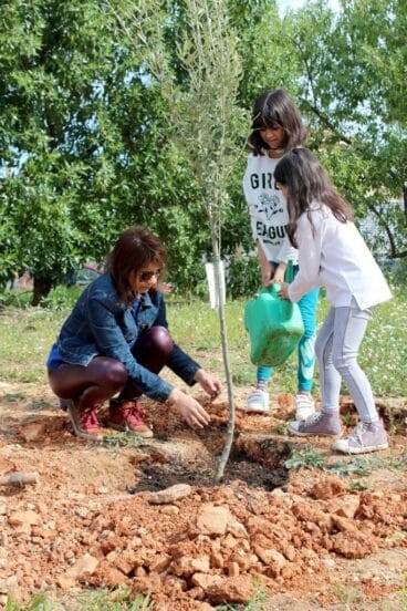 Plantación popular de árboles en Al Khalif