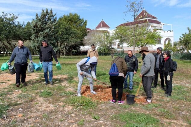 plantan arboles en la zona verde de al khalif