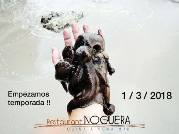 Pulpo Restaurante Noguera