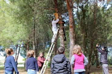 Talleres y actividades en la zona verde de Al Khalif