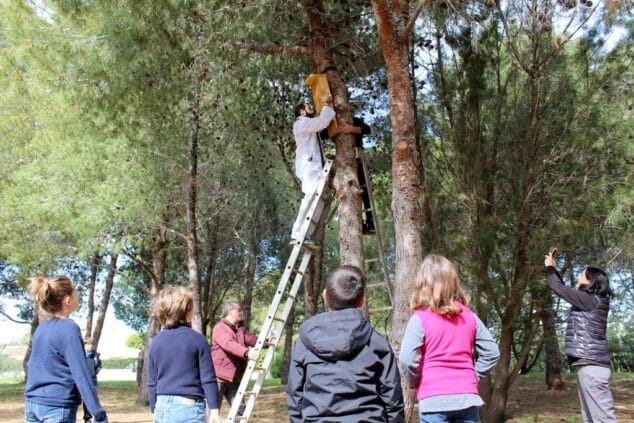 talleres y actividades en la zona verde de al khalif