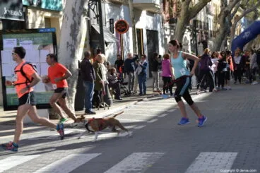 030 5º Marcha Solidaria a favor del CEE Raquel Payá – Salida de los participantes
