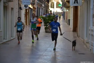 050 5º Marcha Solidaria a favor del CEE Raquel Payá – Recorrido de los participantes