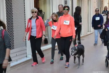 142 5º Marcha Solidaria a favor del CEE Raquel Payá – Recorrido de los participantes