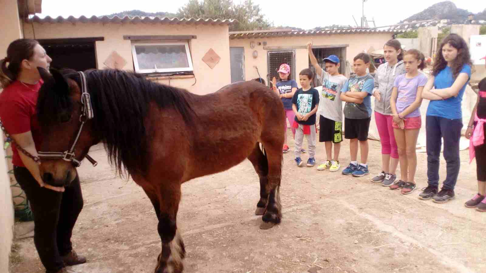 alumnos de denia en apac