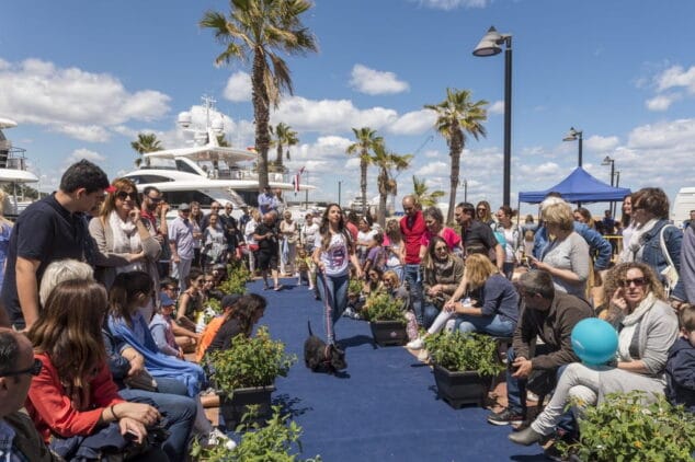 desfile canino en el xi salon nautico de denia