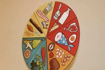 exposicion educando el gusto