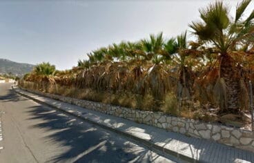 terreno que ocupara el colegio raquel paya