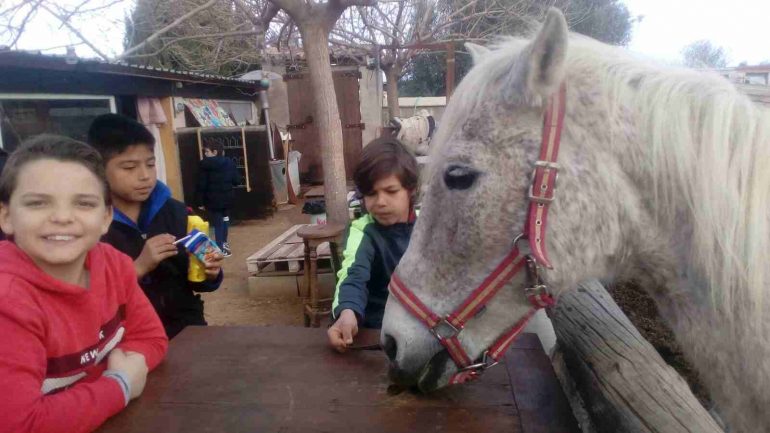 Visita al refugio de caballos