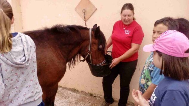 visita guiada por apac