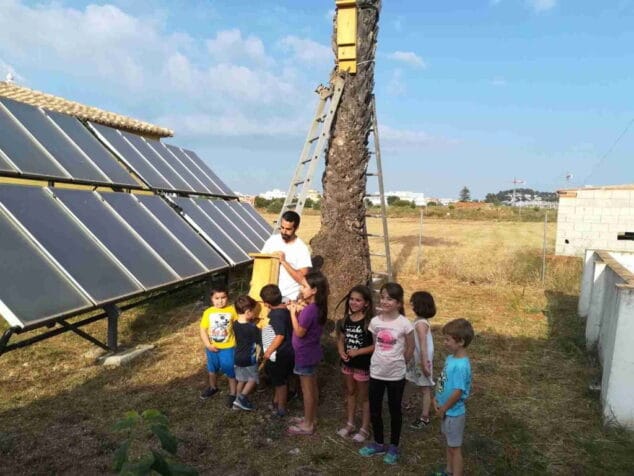 Dénia asciende al número 3 del ranking del registro de especies de la Comunitat Valenciana 3 actividades infantiles