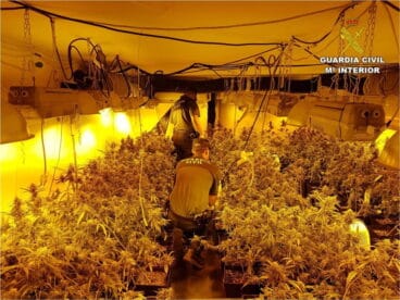 cultivo indoor de marihuana en pedreguer