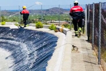 los bomberos recatan a un gato atrapado en una balsa
