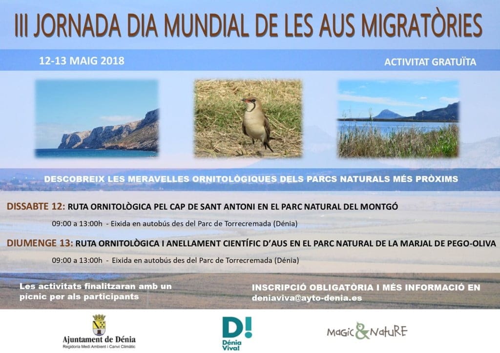 Rutas ornitológicas y anillamientos científicos para celebrar el Día Mundial de las Aves Migratorias 1 programacion del dia mundial de las aves migratorias