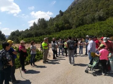 ruta del cilo passejant la marina