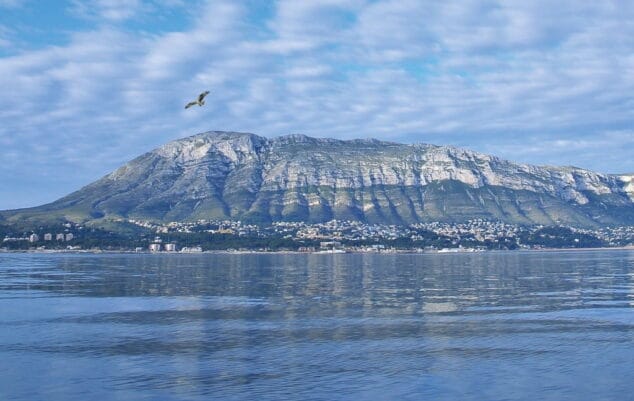 xiii semana de la biodiversidad denia