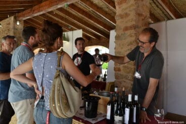 II Mostra de Vins Singulars i de Poble – Cata de vinos