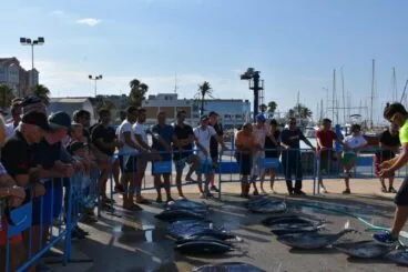 capturas del concurso del 2017 en el rcn denia