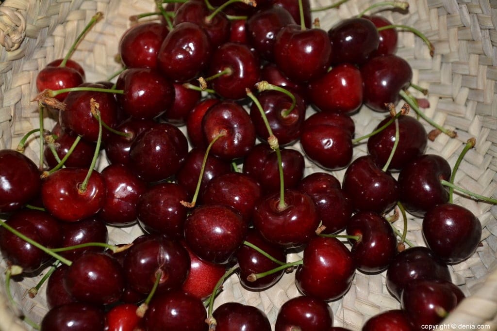 cerezas de la vall de gallinera