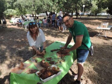 Concienciación medioambiental en Dénia