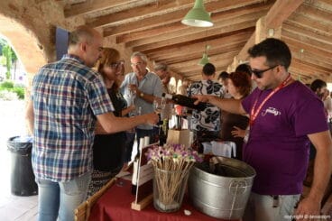 mostra internacional de vins singulars i de poble