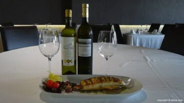 Platos l’Anfora