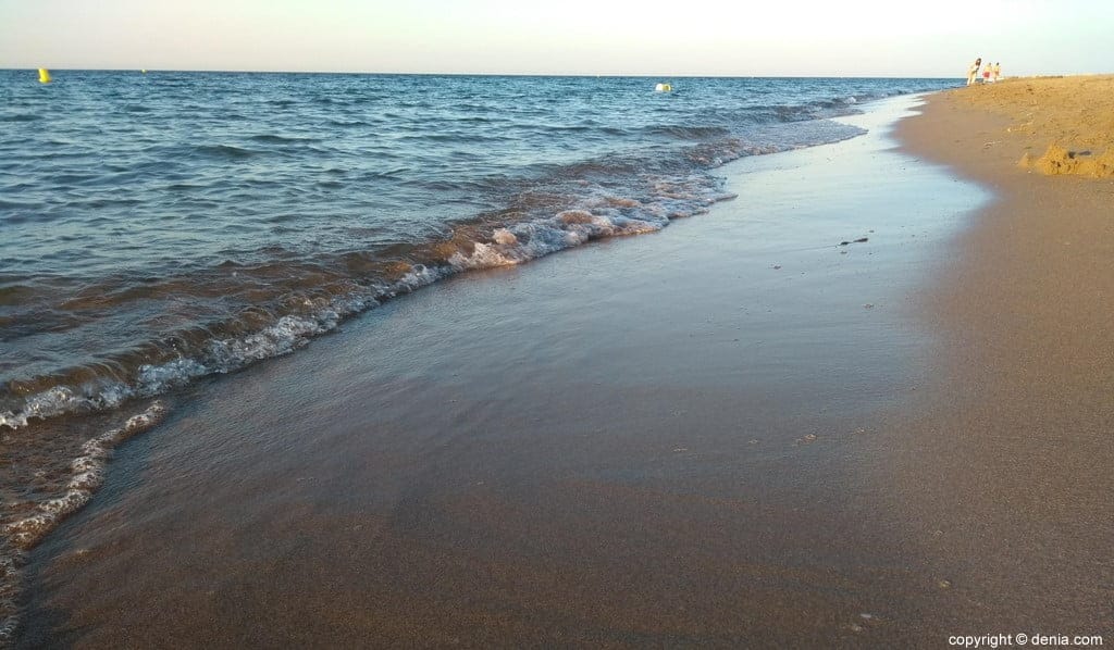 El PATIVEL distingue dos tipos de playas en Dénia y condiciona las labores de limpieza 1 playa de denia