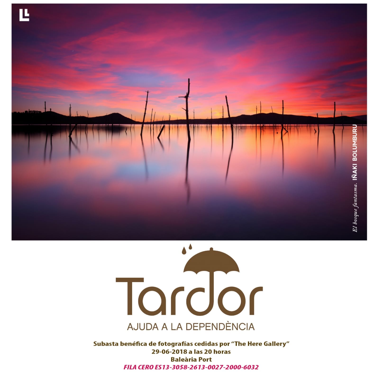 subasta benefica en denia