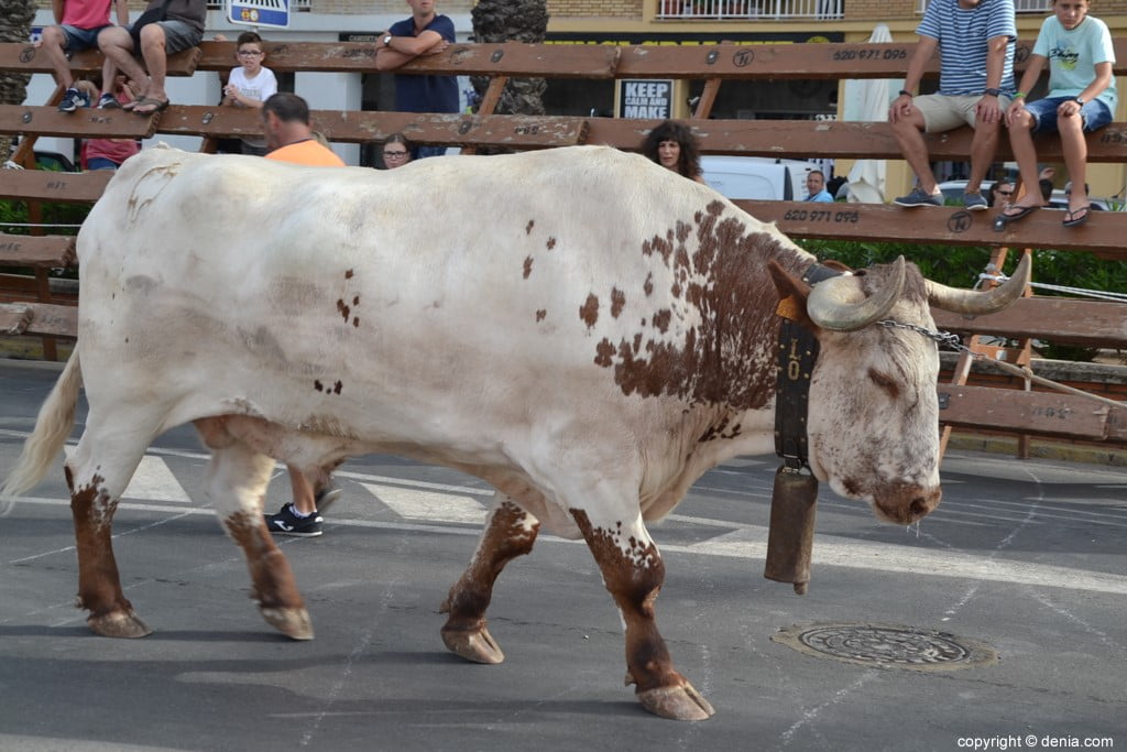 Última entrada de toros Fiestas Dénia 2018 – Manso