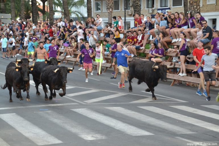 Last bullfight Fiestas Dénia 2018 - Bulls towards the square