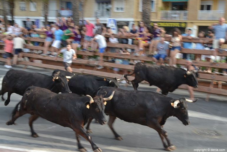 Última entrada de toros Fiestas Dénia 2018 - Toros