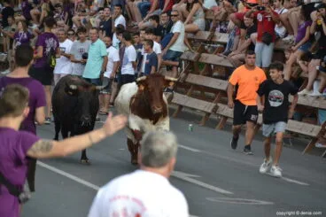 Última entrada de toros Fiestas Dénia 2018 – Toros rezagados