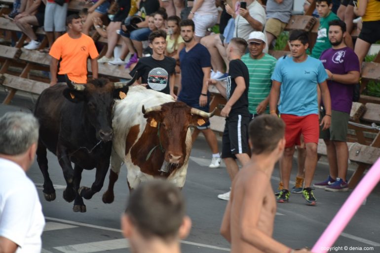 Última entrada de toros Fiestas Dénia 2018 - Toros rezagados
