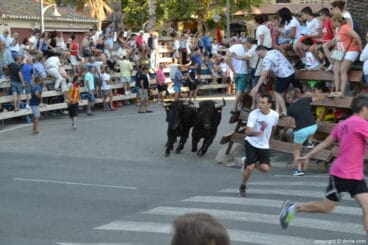 19 Bous a la Mar Dénia 2018 – Entrada de toros