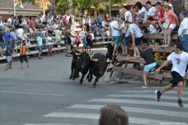 20 Bous a la Mar Dénia 2018 – Entrada de toros