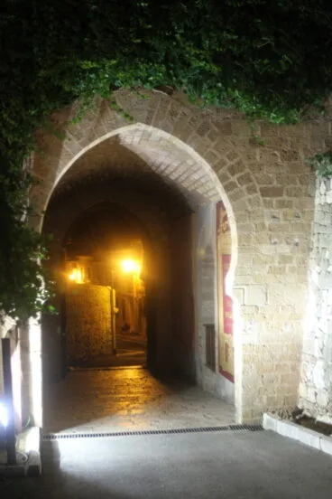 Ruta al atardecer por el Castillo de Dénia – entrada de noche