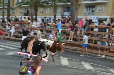 Última entrada de toros Fiestas Dénia 2018 – Desde la barrera